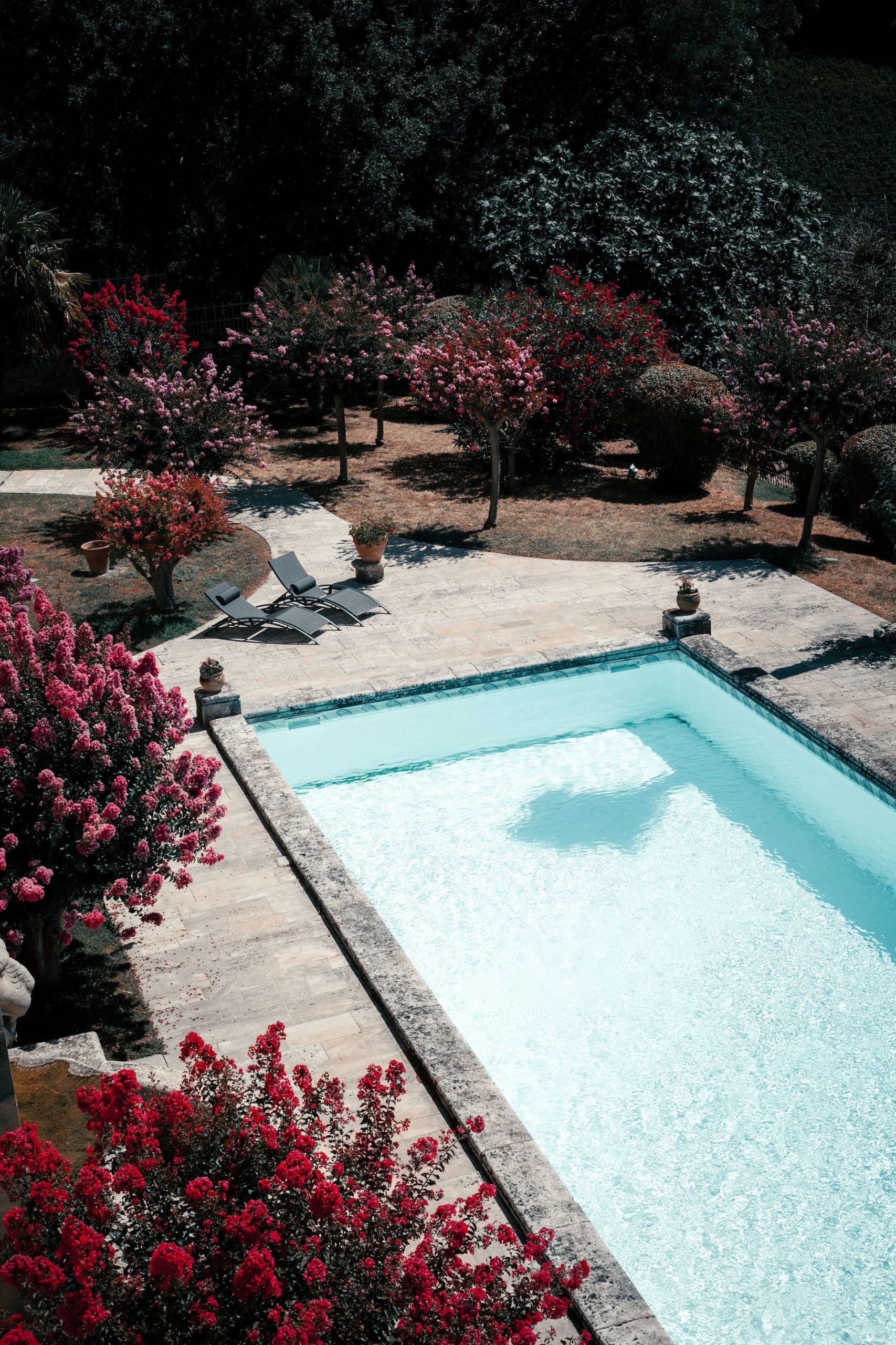 pool with crape myrtle trees