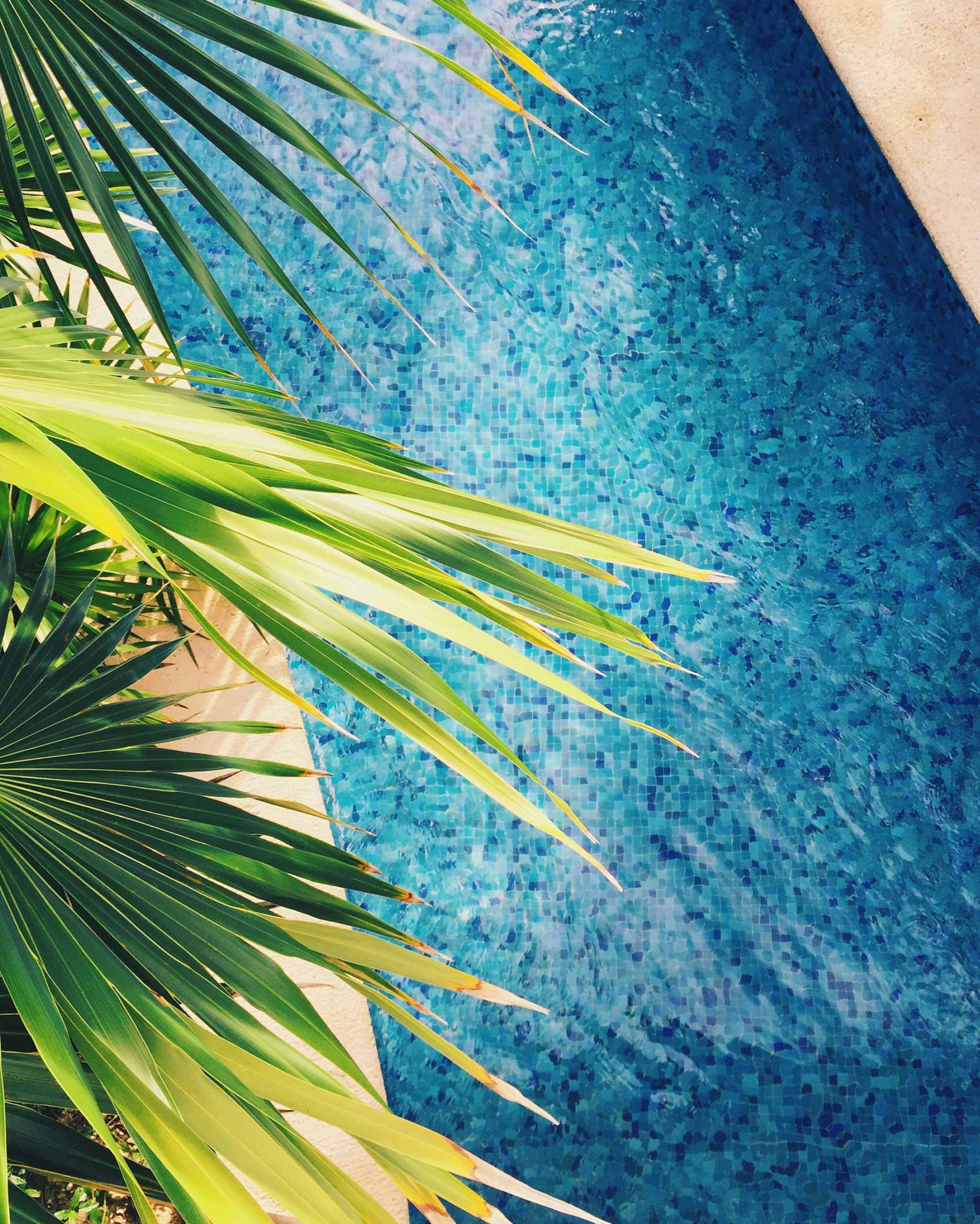 clear and clean swimming pool in Round Rock TX